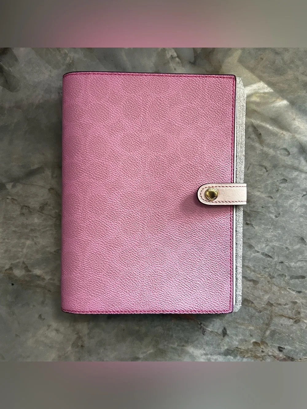 Custom Pink Coach Signature Canvas Notebook